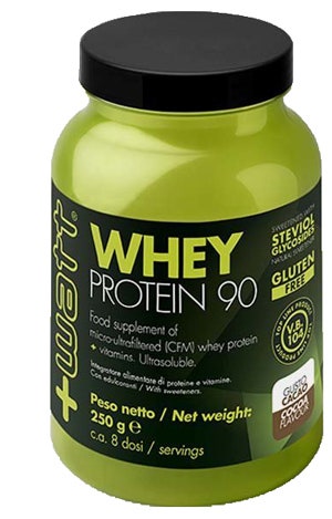 Whey Protein 90 cacao 250G