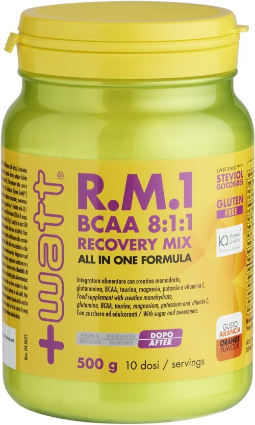 R.M.1 (BCAA 8:1:1 Recovery Mix) 500 g