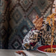Carboidrati a cena per dimagrire | Dott. Spattini VitaminCenter