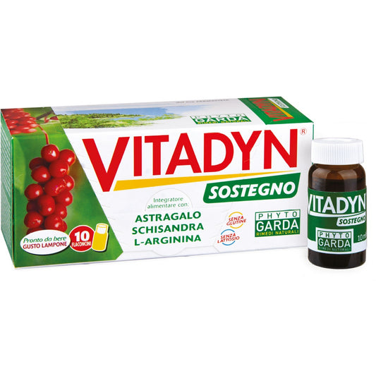 Vitadyn Sostegno 10X10ml