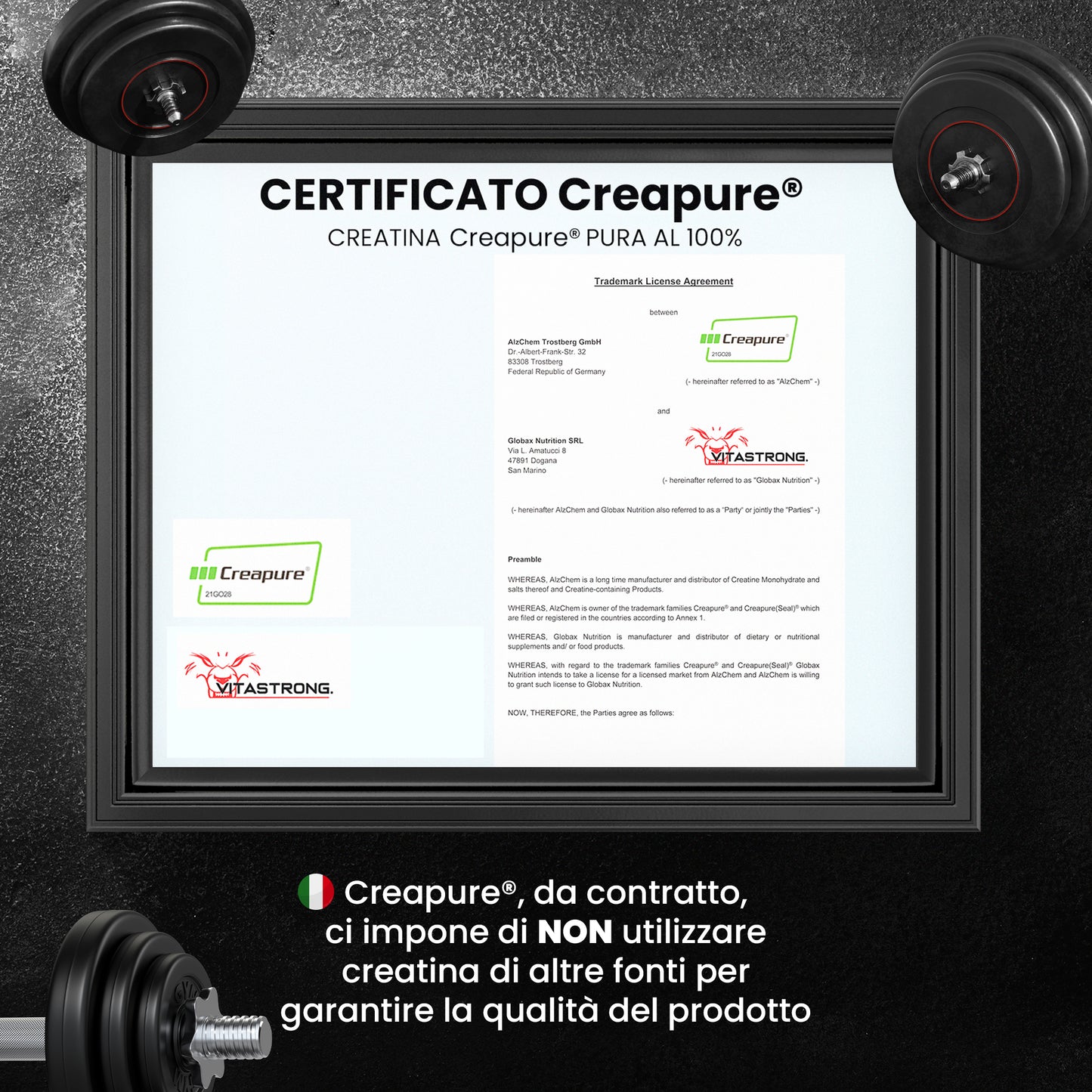 Vitastrong Creatina Creapure 250g