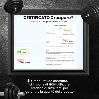 Vitastrong Creatina Creapure 250g