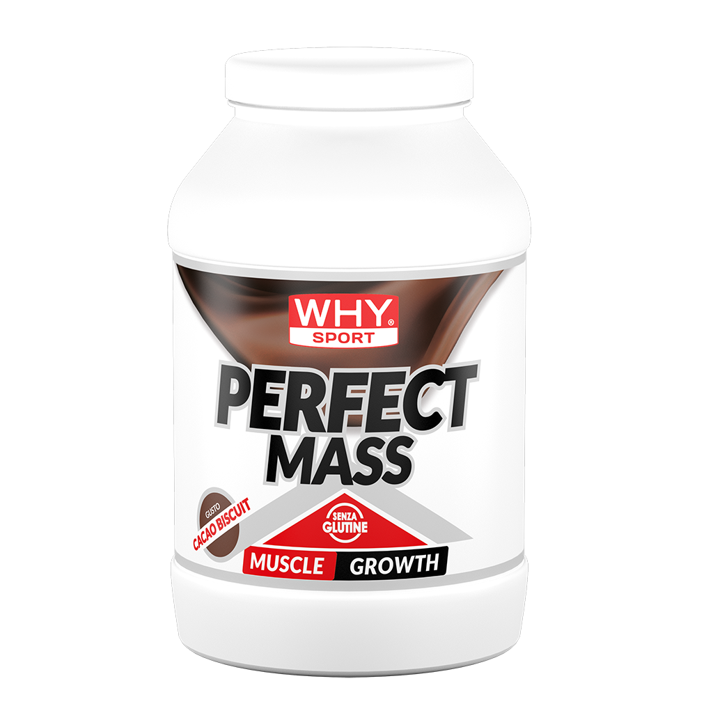 Perfect Mass 1,6 kg